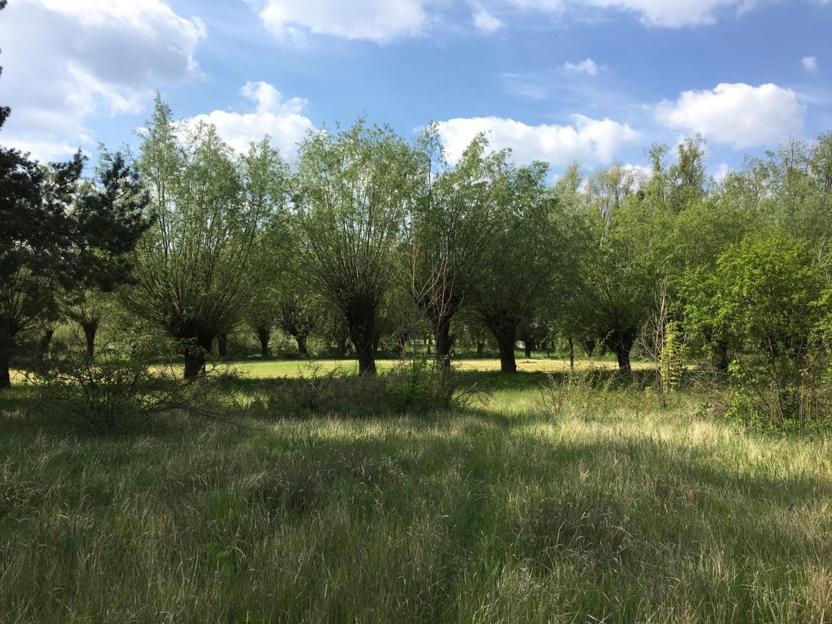 Agroturystyka Kobylnica Nad Wisla Экстерьер фото