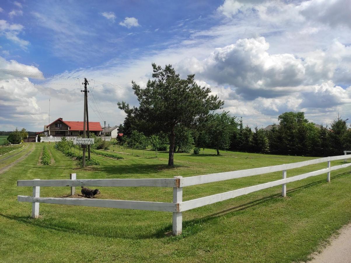 Agroturystyka Kobylnica Nad Wisla Экстерьер фото
