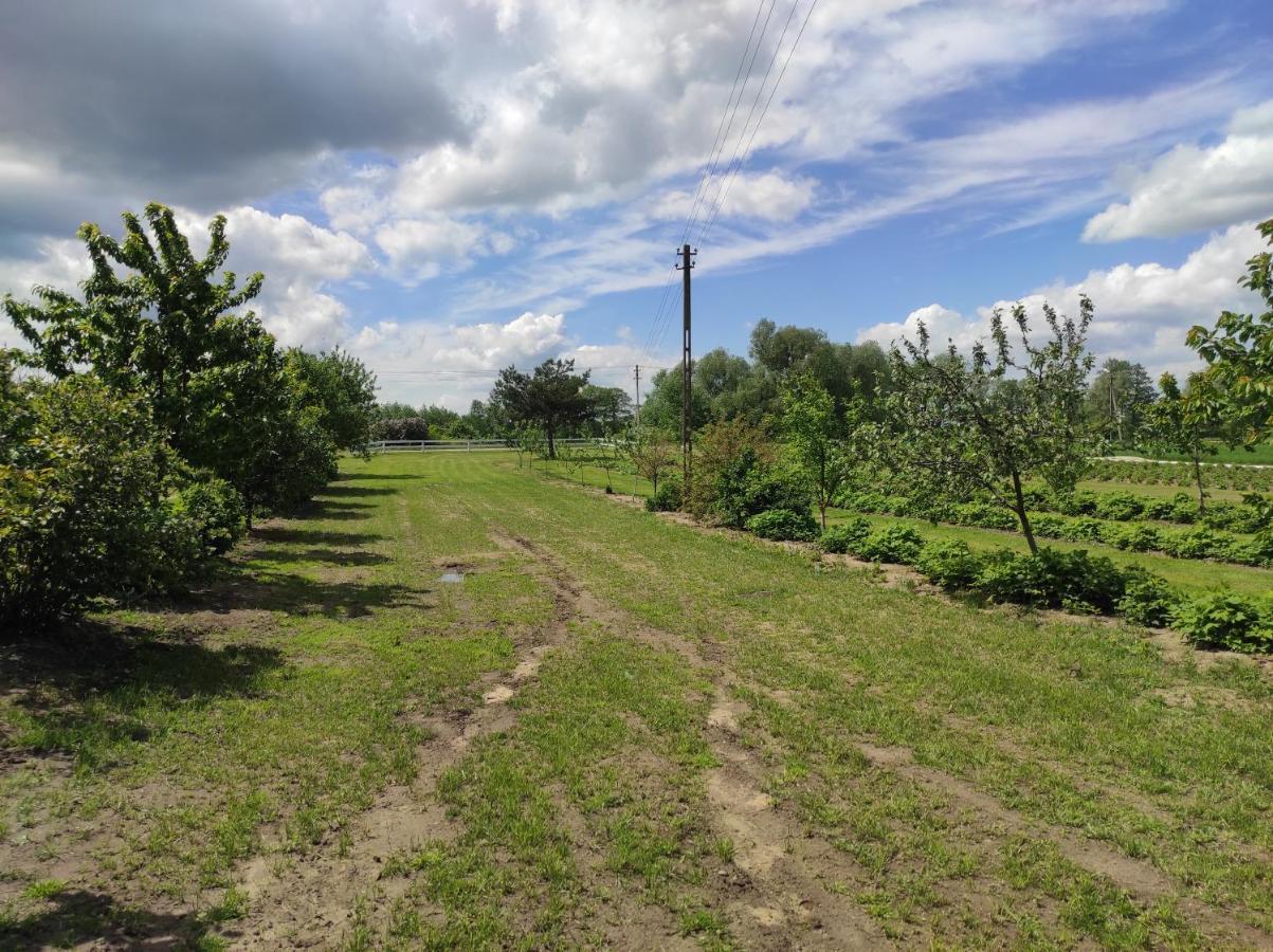 Agroturystyka Kobylnica Nad Wisla Экстерьер фото