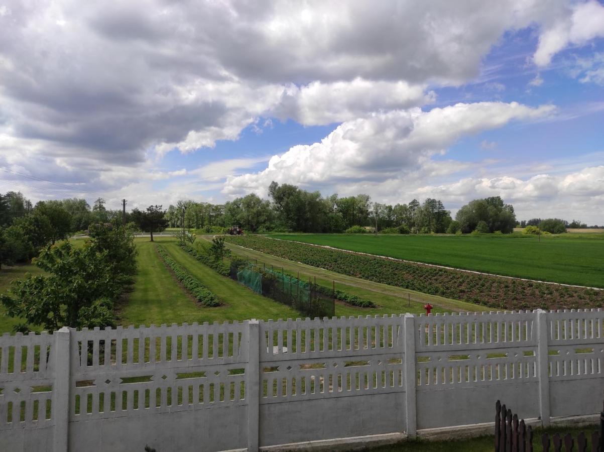 Agroturystyka Kobylnica Nad Wisla Экстерьер фото