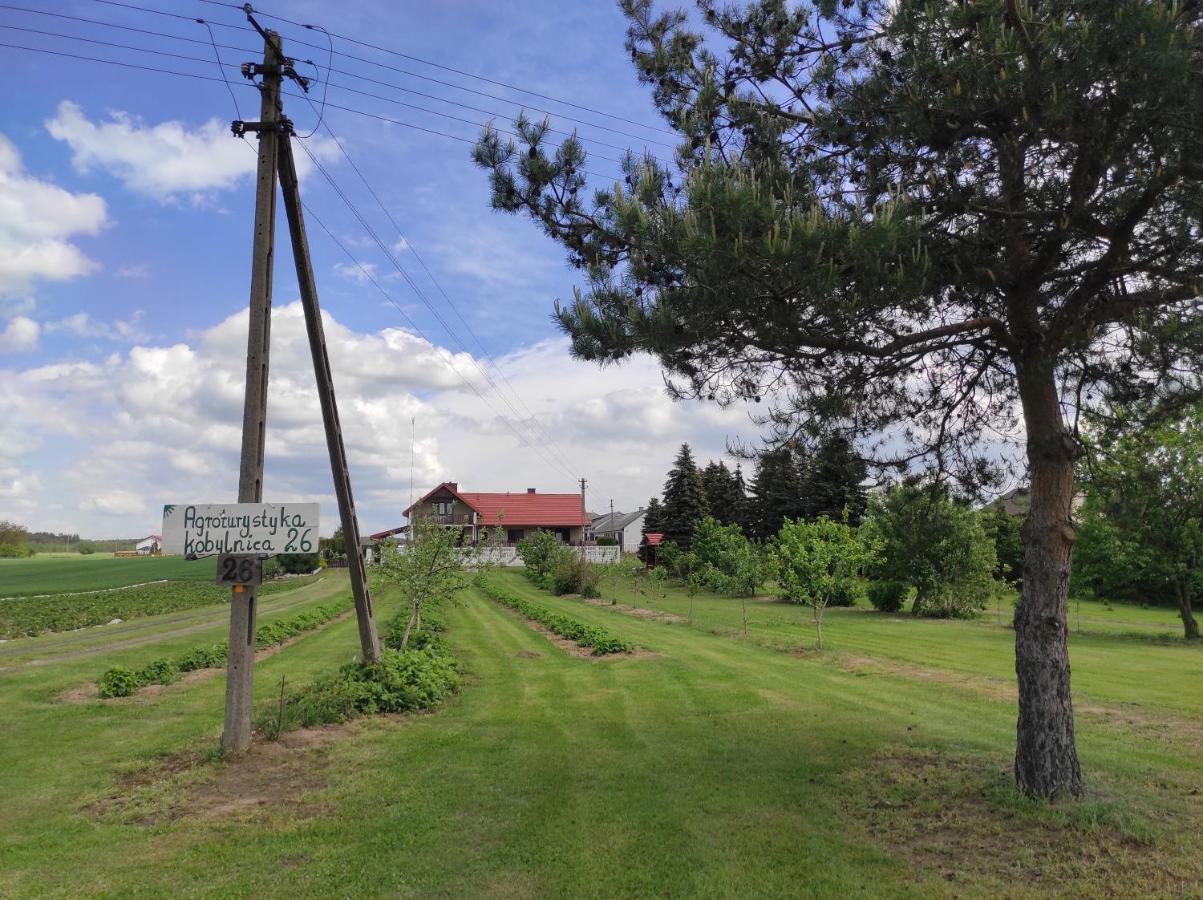 Agroturystyka Kobylnica Nad Wisla Экстерьер фото