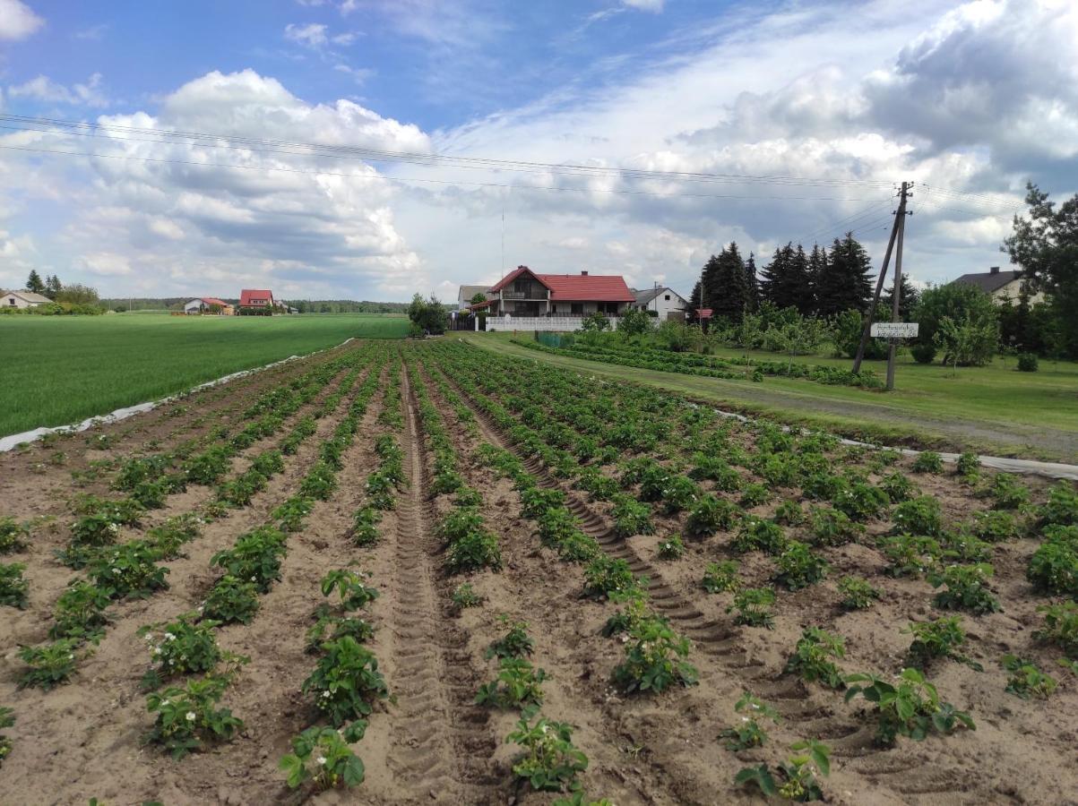 Agroturystyka Kobylnica Nad Wisla Экстерьер фото