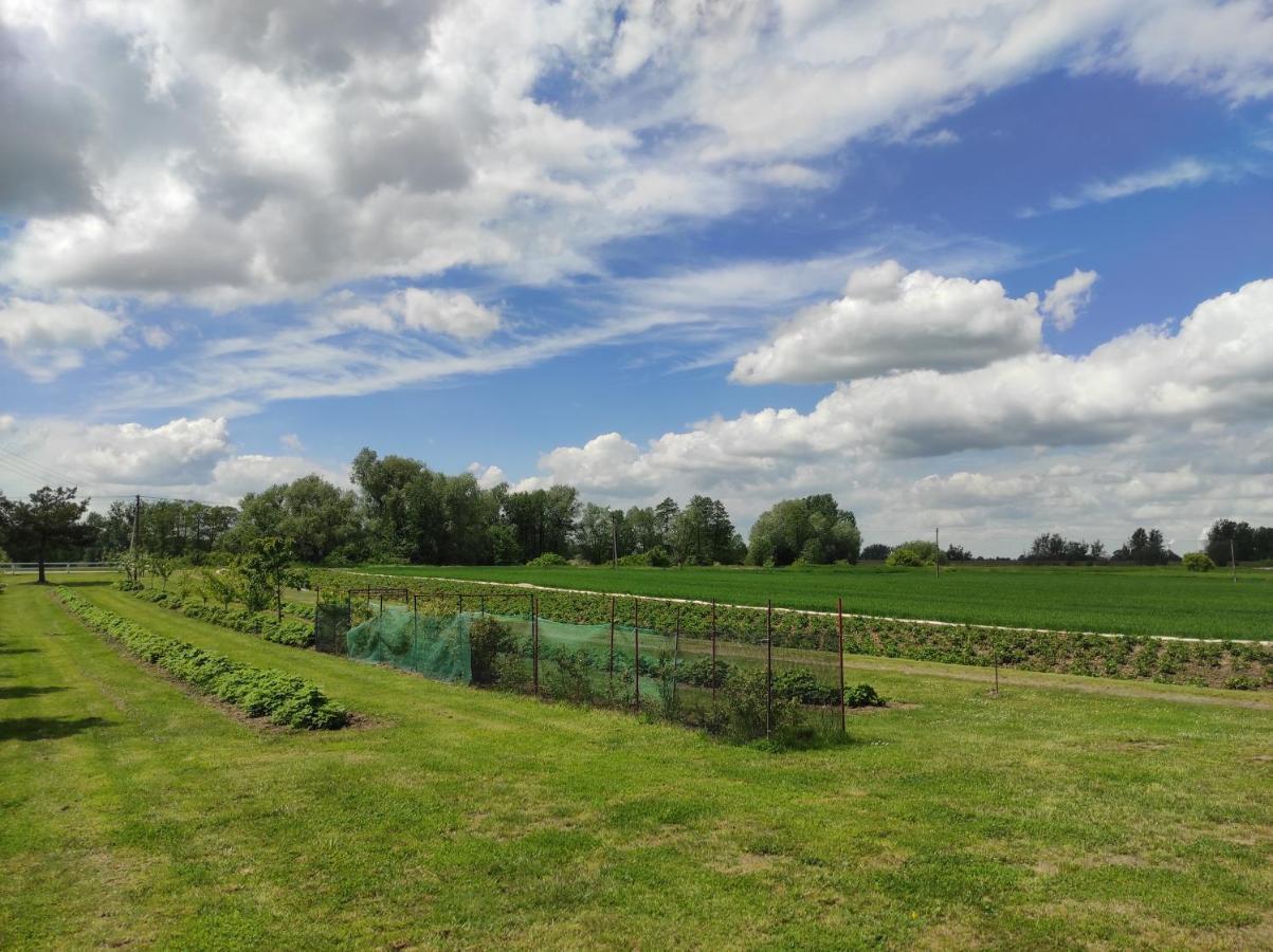 Agroturystyka Kobylnica Nad Wisla Экстерьер фото