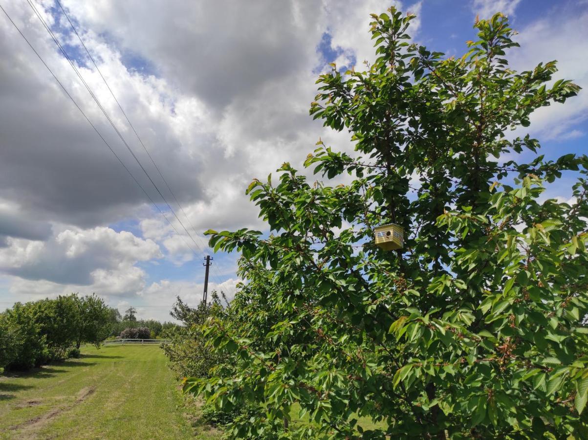 Agroturystyka Kobylnica Nad Wisla Экстерьер фото